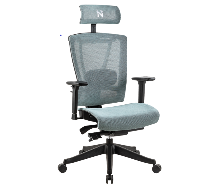 Hinomi Chair Review