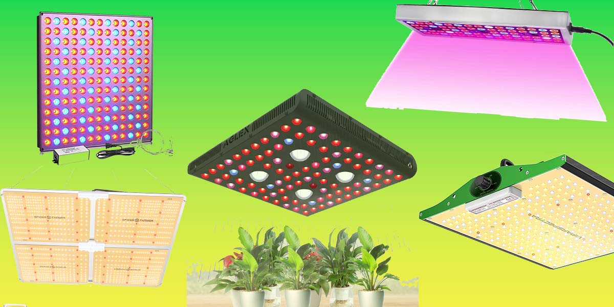 Top 10 Best LED Grow Lights Manufacturers In 2024