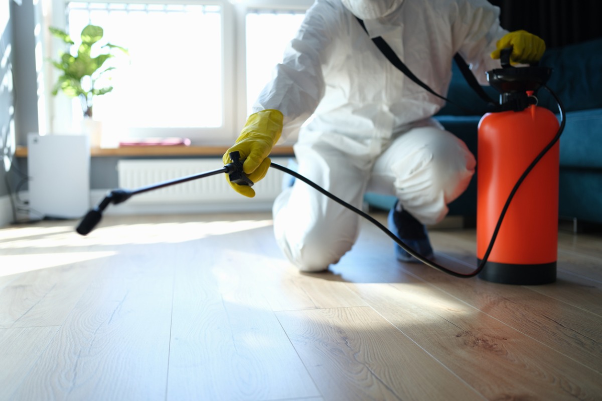 pest control services in Lansing