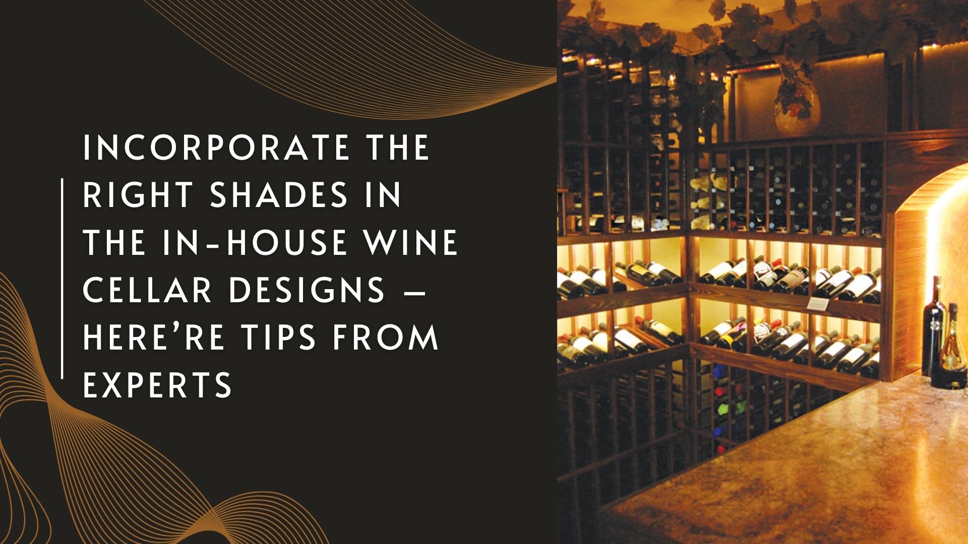 in house wine cellar designs