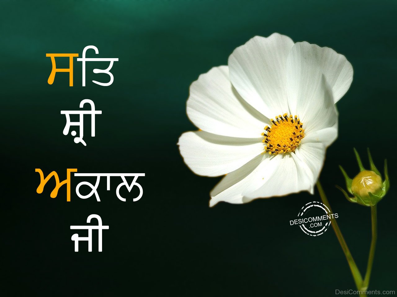 Good Morning Punjabi Images: Embrace Tradition with Heartfelt Wishes